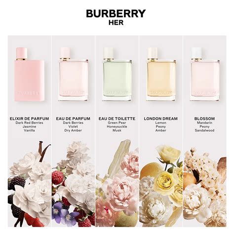 burberry her london dream fragrantica|burberry her london dream notes.